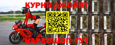 прущие крисы Будённовск