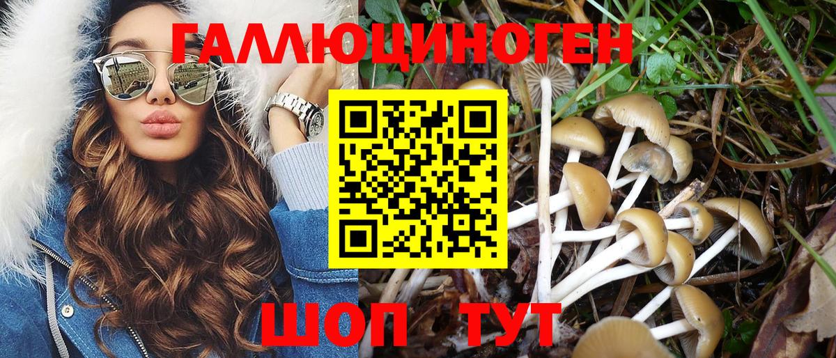 Псилоцибиновые грибы прущие грибы Ялта