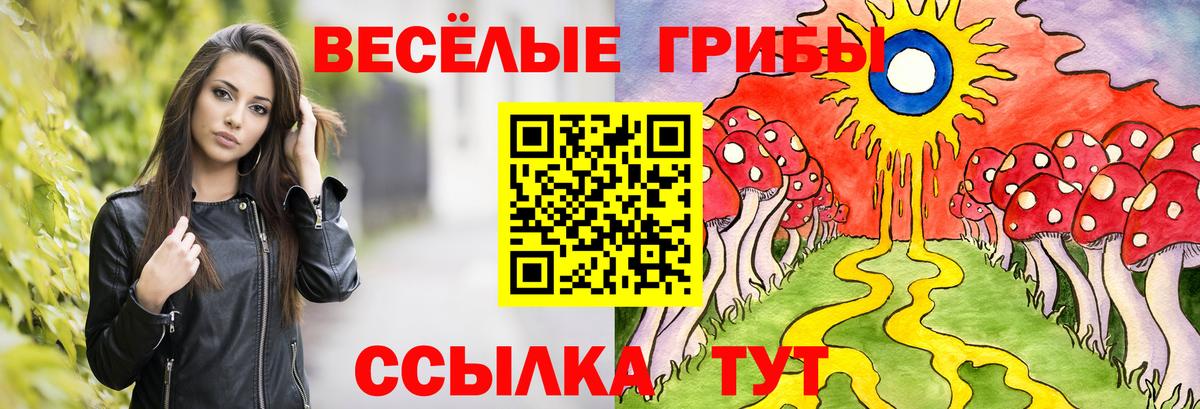купить наркотик  Вход с VPN  Ялта  Галлюциногенные грибы Psilocybine cubensis 